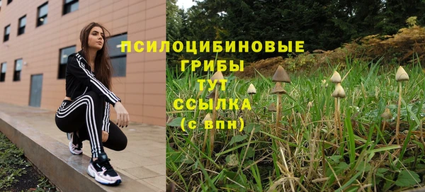 гашиш Аркадак