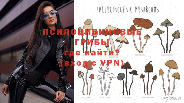 гашиш Аркадак