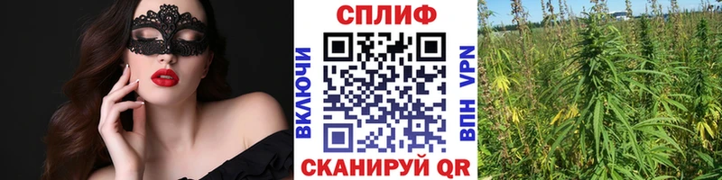 где найти наркотики Лянтор Шишки марихуана AK-47
